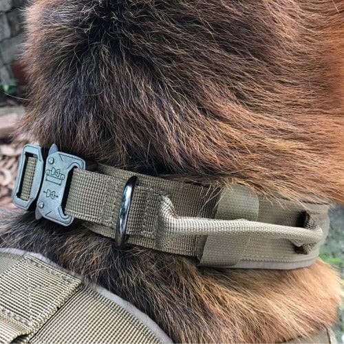 21:34 Tactical Dog Collar 1000D Nylon Padded Metal Buckle Control Handle M L XL Training Collar German Shepherd Large Dog | Koossa